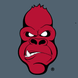 Angry Ape Creative logo