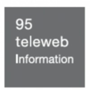 Beijing 95teleweb Information Co., Ltd. logo
